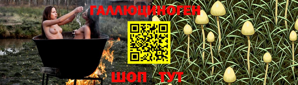 Псилоцибиновые грибы Psilocybine cubensis  Псилоцибиновые грибы Psilocybe  Вход с VPN  Новотроицк 